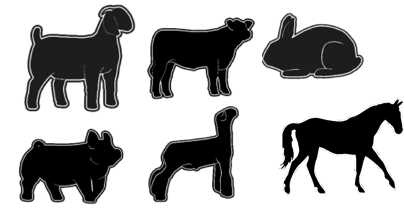 4-H Stall Sign - Show Banner - Personalized 4-H Show Sign With Name Plates