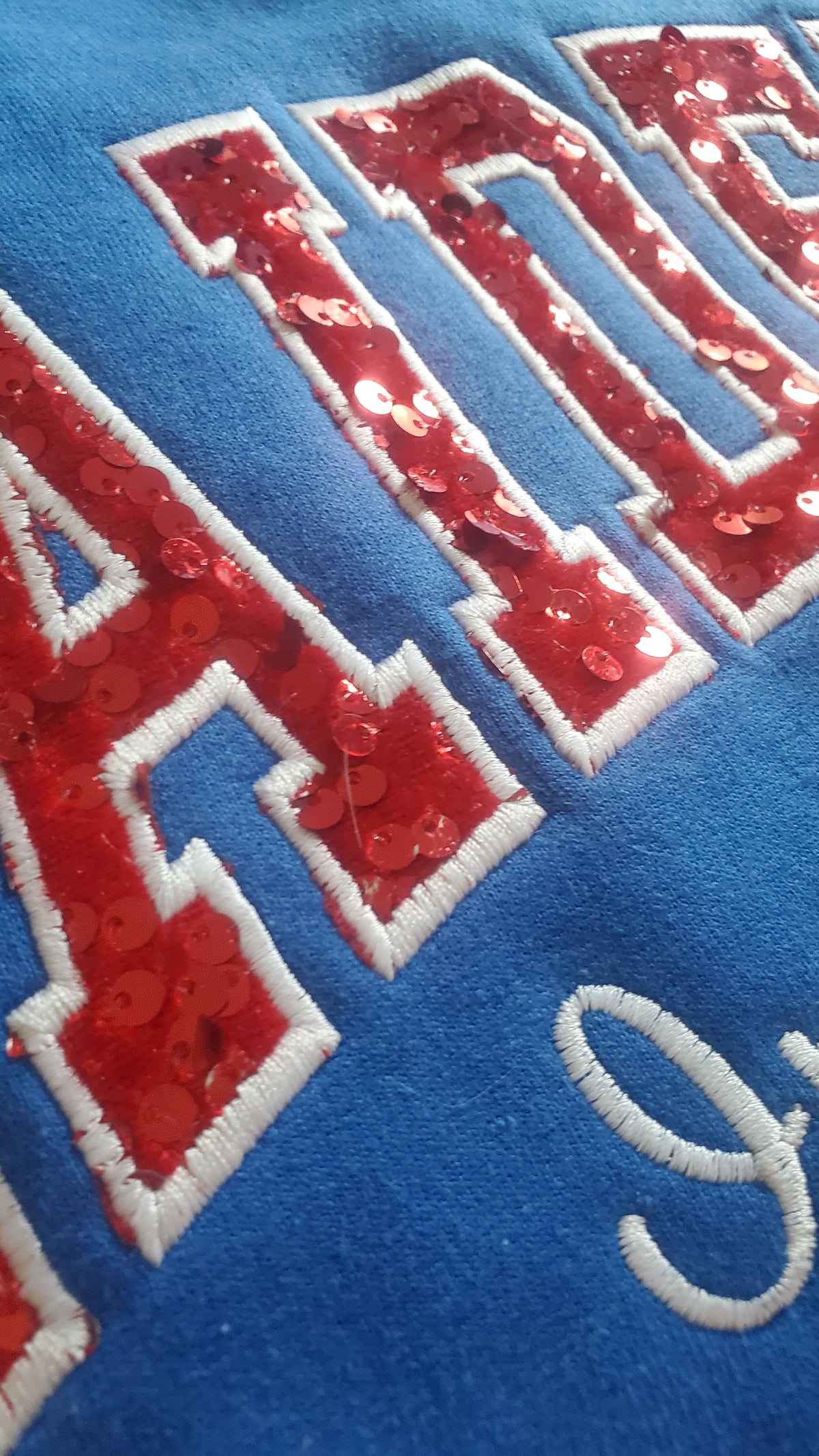 Sequin Team Mascot Sweatshirt | Custom School Name Applique Crewneck |  Game Day Pullover *